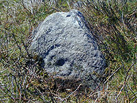 Example of prehistoric rock art